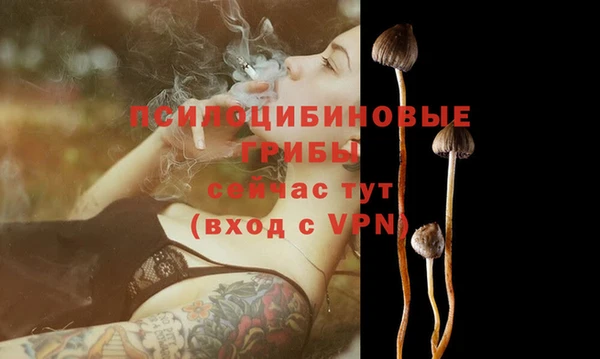 сатива Баксан