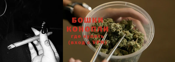 сатива Баксан