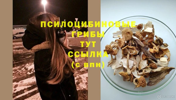 сатива Баксан