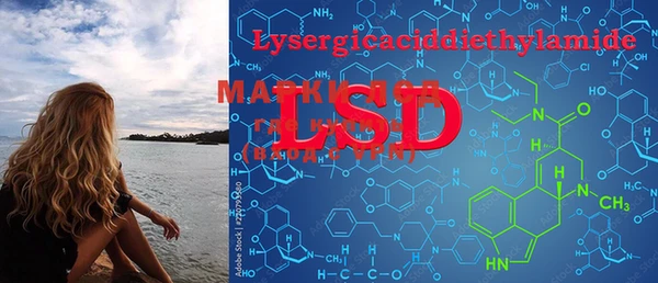 PSILOCYBIN Арсеньев