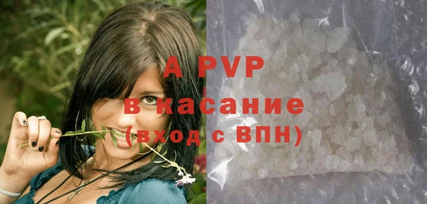 PSILOCYBIN Арсеньев