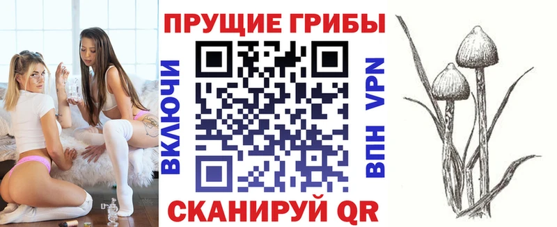 что такое наркотик  блэк спрут ONION  Псилоцибиновые грибы Psilocybine cubensis  Цивильск 